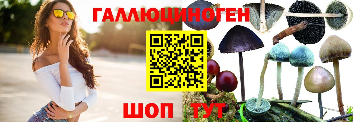 Галлюциногенные грибы мухоморы Прокопьевск
